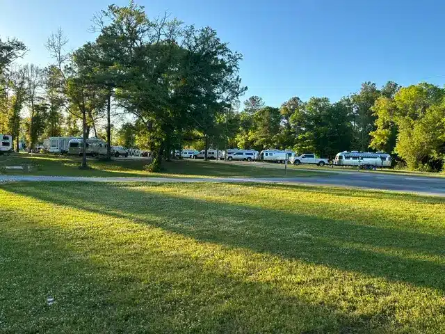 Grassy field in foreground with paved road leading past a row of parked RVs, trailers, and trucks under tall trees.