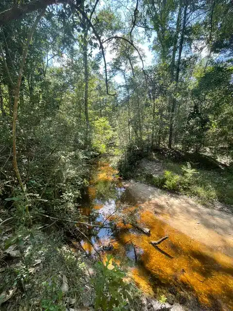 Trails